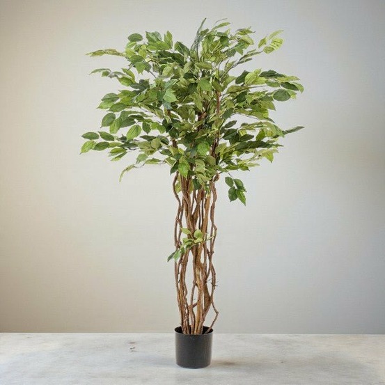 Ficus liane artificiel h140cm