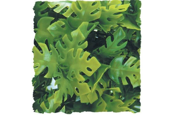 Amazonian phyllo - small 36 cm - décor pour terrarium