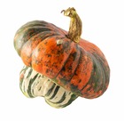 Sachet de graines de potiron giraumon-turban turc    - sachet de 3 grammes - petite entreprise française