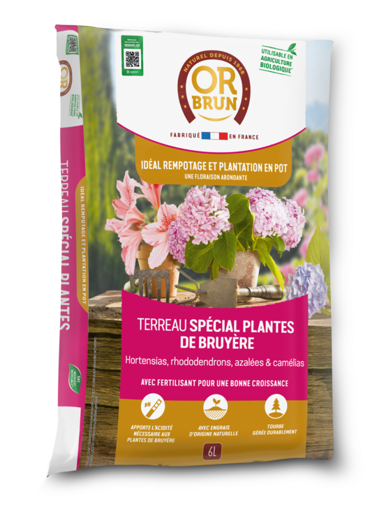 Or brun obrtbru6u - terreau spécial plantes de bruyère - 6l - meilleur enracinement