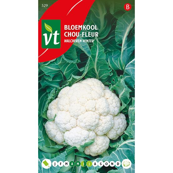 Chou-fleur walcheren winter - ca. 0,5 gr (livraison gratuite)