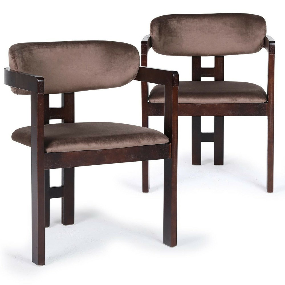 Lot de 2 chaises en velours 