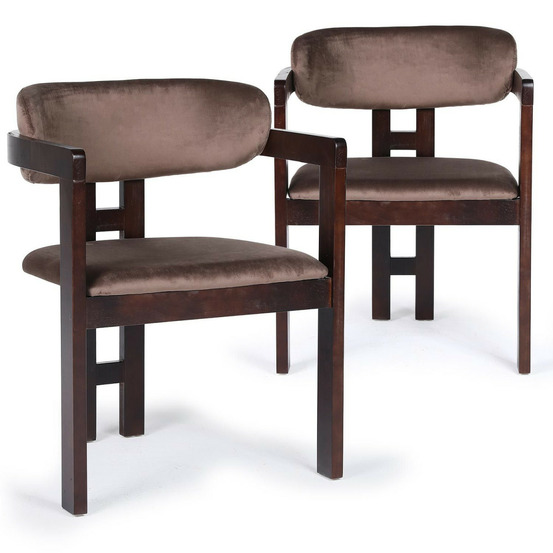 Lot de 2 chaises en velours