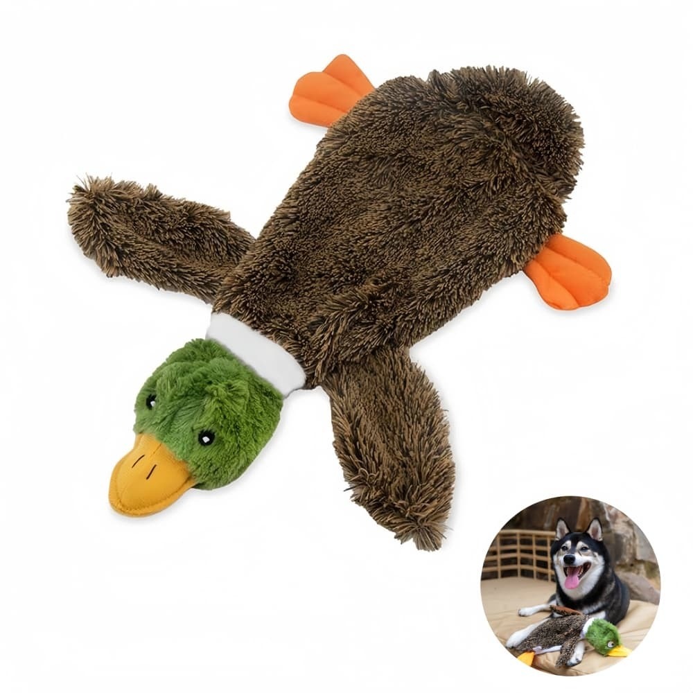 Jouets en peluche pour chien