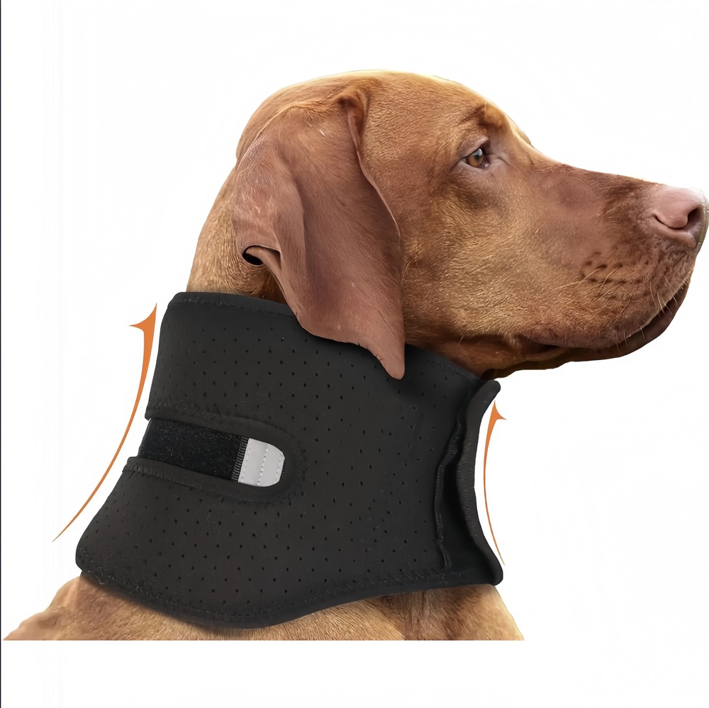 Collier de soutien post - opératoire respirant et solide avec protection anti - traction pour chien