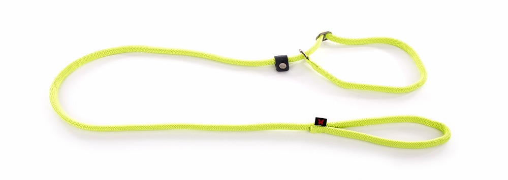 Martin sellier - laisse pour chiens en nylon martin sellier - laisse pour chiens avec collier d'éducation semi-étrangleur