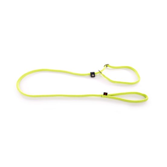 Martin sellier - laisse pour chiens en nylon martin sellier - laisse pour chiens avec collier d'éducation semi-étrangleur