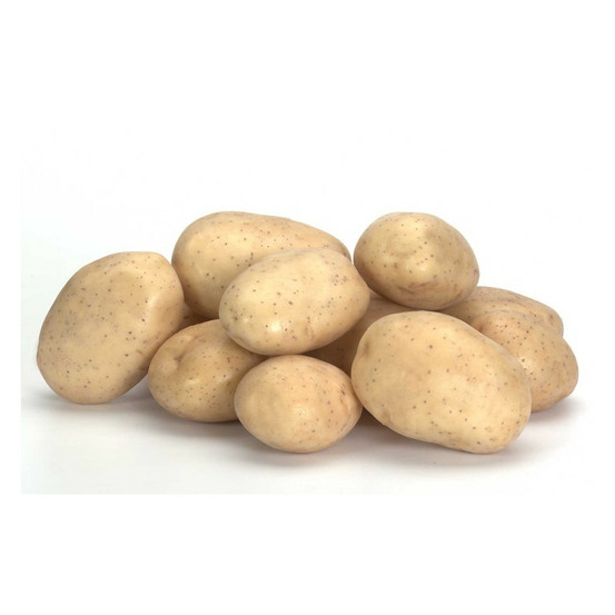 Marabel 100 plants de pommes de terre