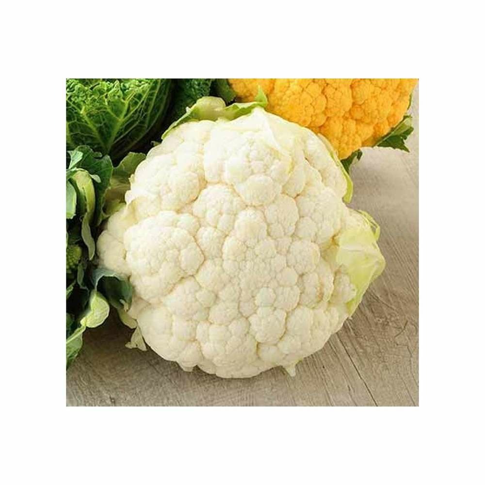 Chou fleur nain extra hÃ¢tif boule de neige 1