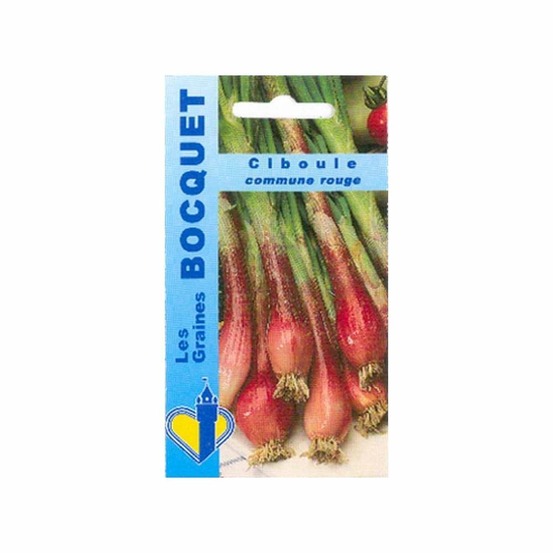 Ciboule commune rouge