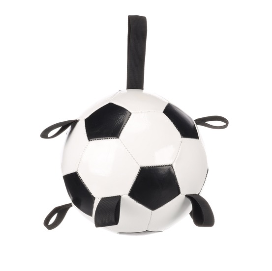 Jeu ballon de football pour chien towa