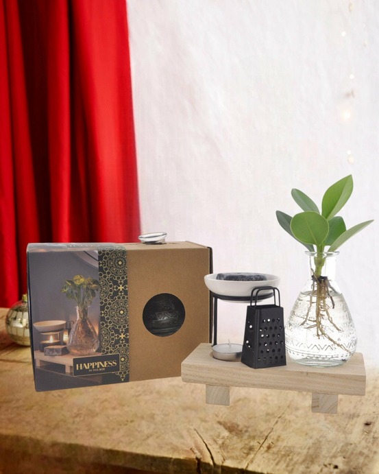 Coffret happiness plante en hydroculture