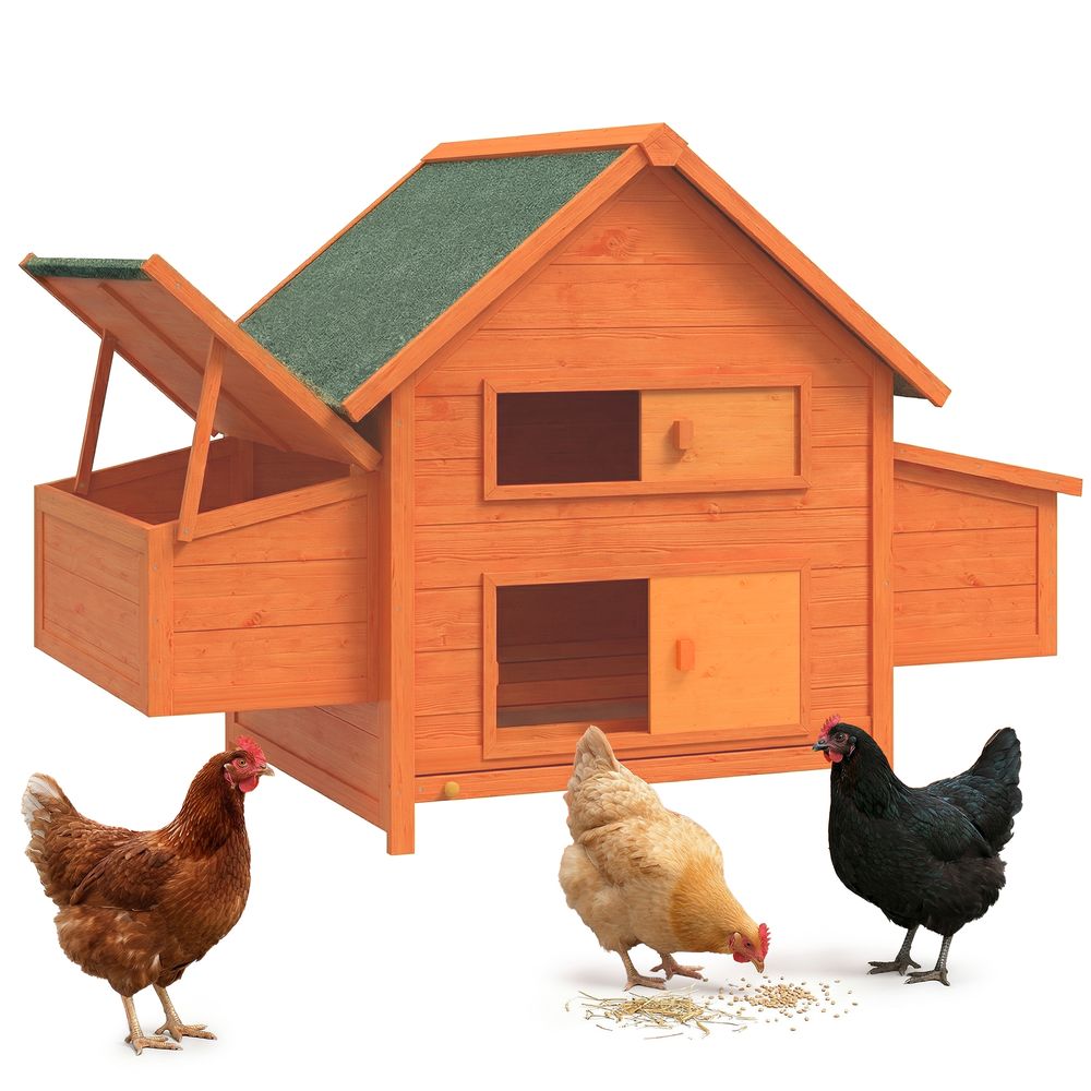 Poulailler bois sapin extérieur 2 à 4 poules double pondoir 160x98cm vert