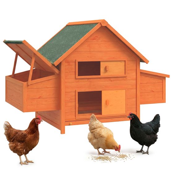 Poulailler bois sapin extérieur 2 à 4 poules double pondoir 160x98cm vert