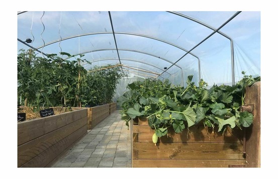 Serre tunnel de jardin - 36m² - 4 x 9m - pieds droits - aérations latérales - 4 saisons plus - les serres tonneau