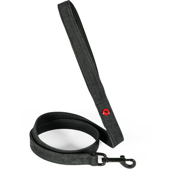 Laisse pour chien en cuir huilé, poignée néoprène, longueur 1 m, sangle 15
