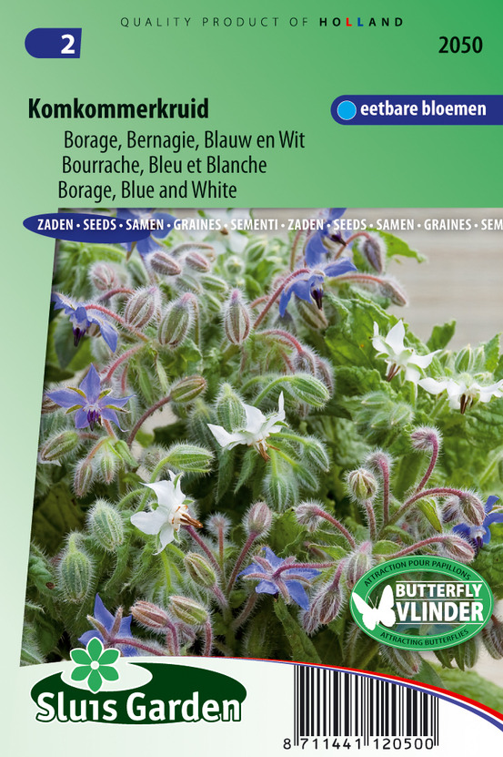 Bourrache bleu et blanche - les herbes aromatiques - ca. 1 g (livraison gratuite)