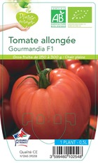 Tomate gourmandia f1 -plant ab en  pot 0.5 l-plante du jardin