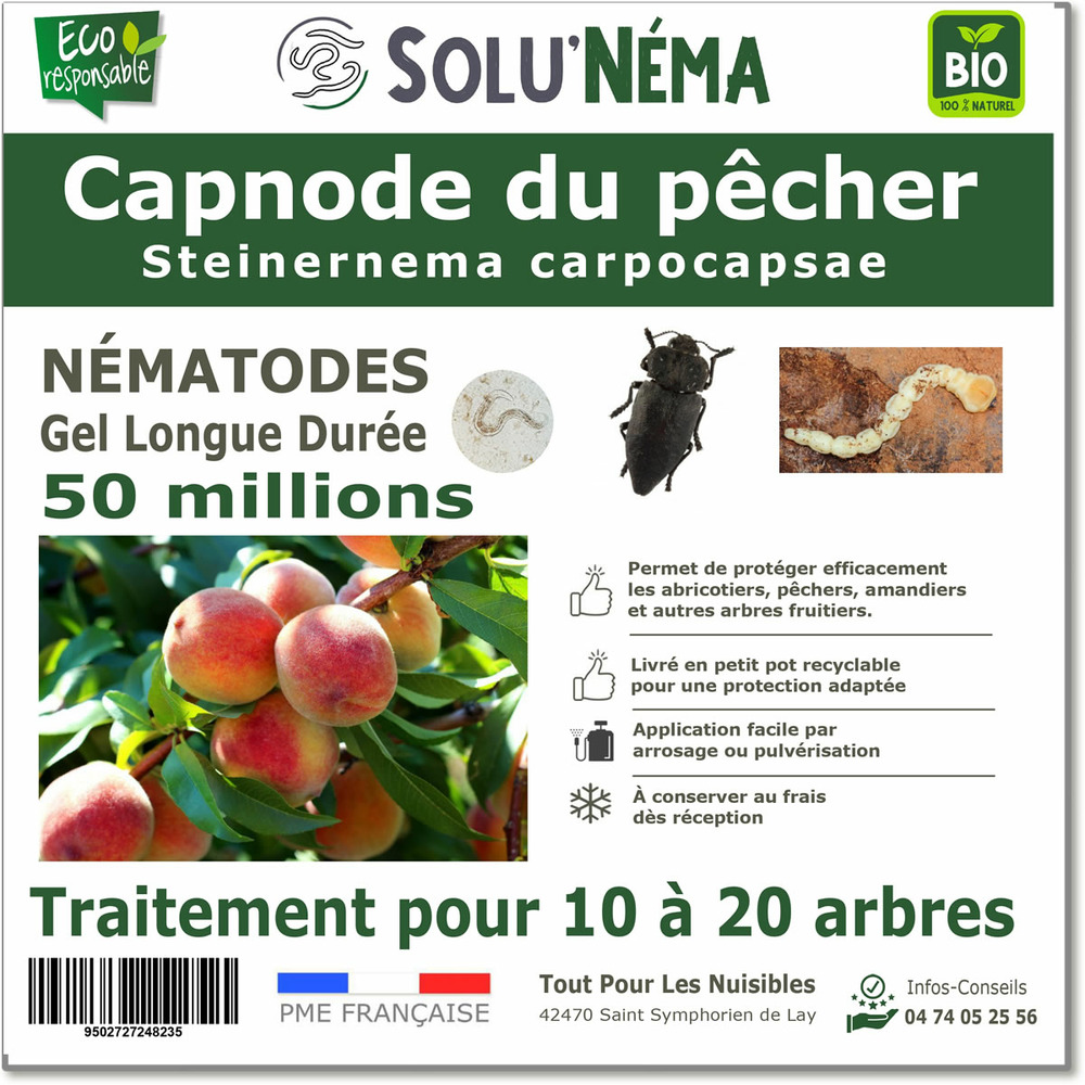 Solunéma - Capnode du pêcher - 50 millions de Nématodes Steinernema Carpocapsae (SC)
