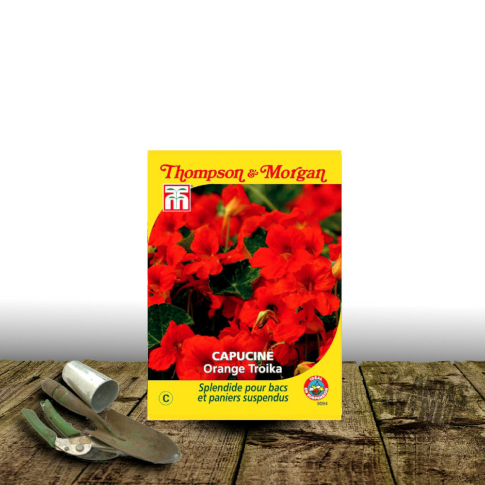 Graines de capucine orange troika - thompson & morgan sachet