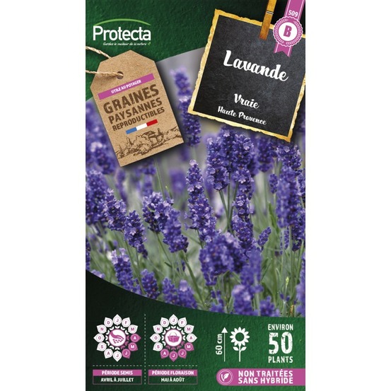 Graines paysannes - lavande vraie