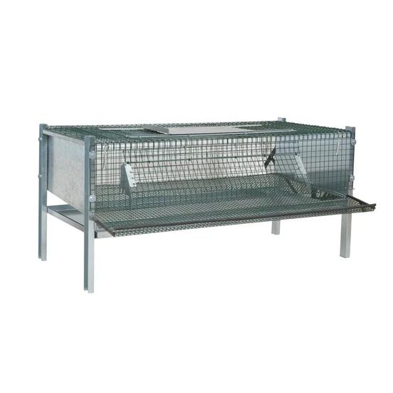 Cage en maille galvanisée pour cailles pondeuses (mini)