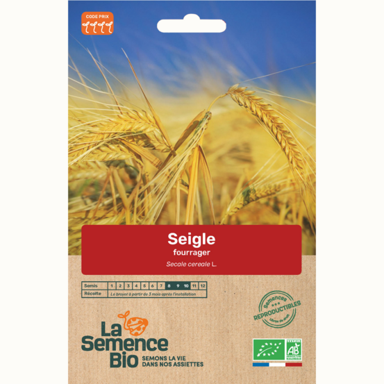 Seigle fourrager - graines bio