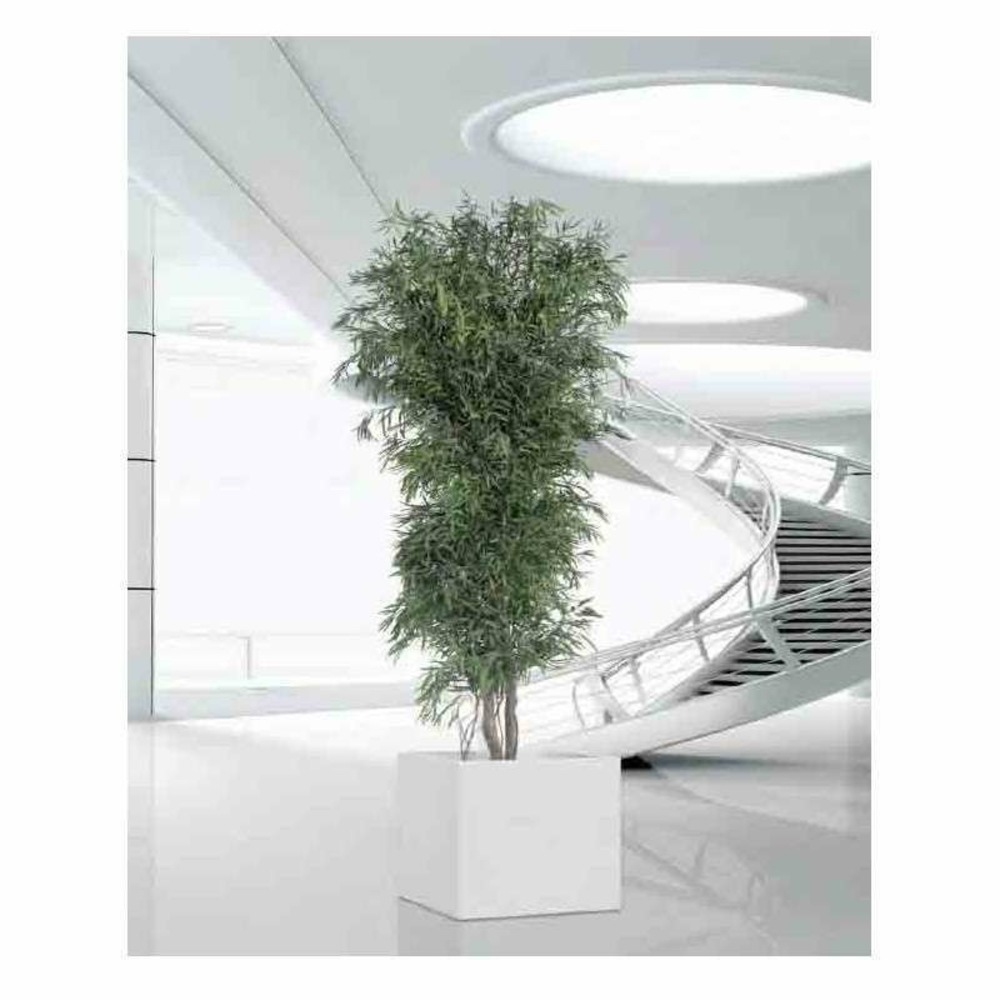 Arbre naturel eucalyptus nicoly stabilisé vert - arbre stabilisé - plante d'intérieur - 180 cm