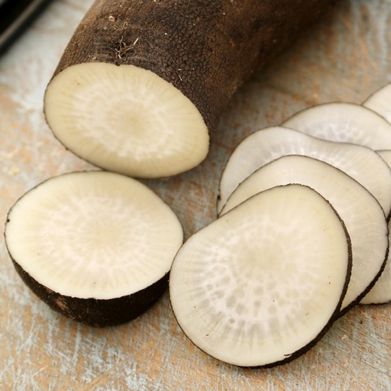 Radis noir 'gros long d'hiver de paris' le sachet de 1000 graines environ (10g)