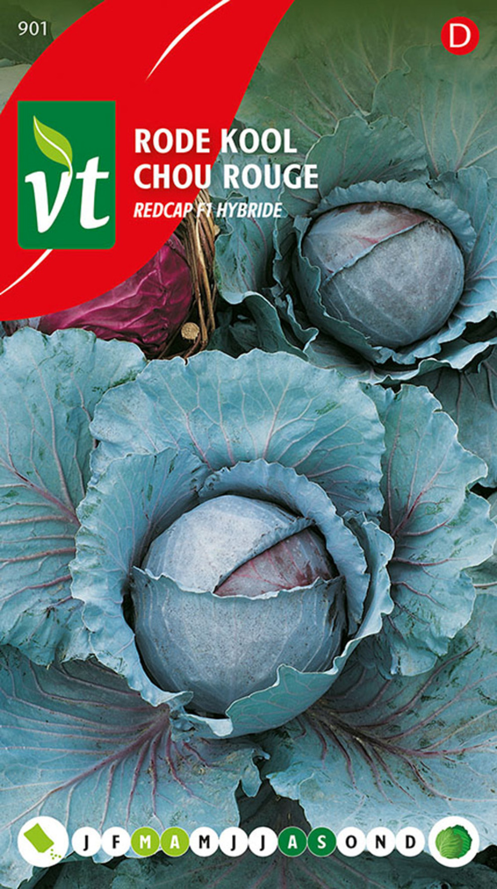 Chou rouge redcap f1 - ca. 0,3 gr (livraison gratuite)