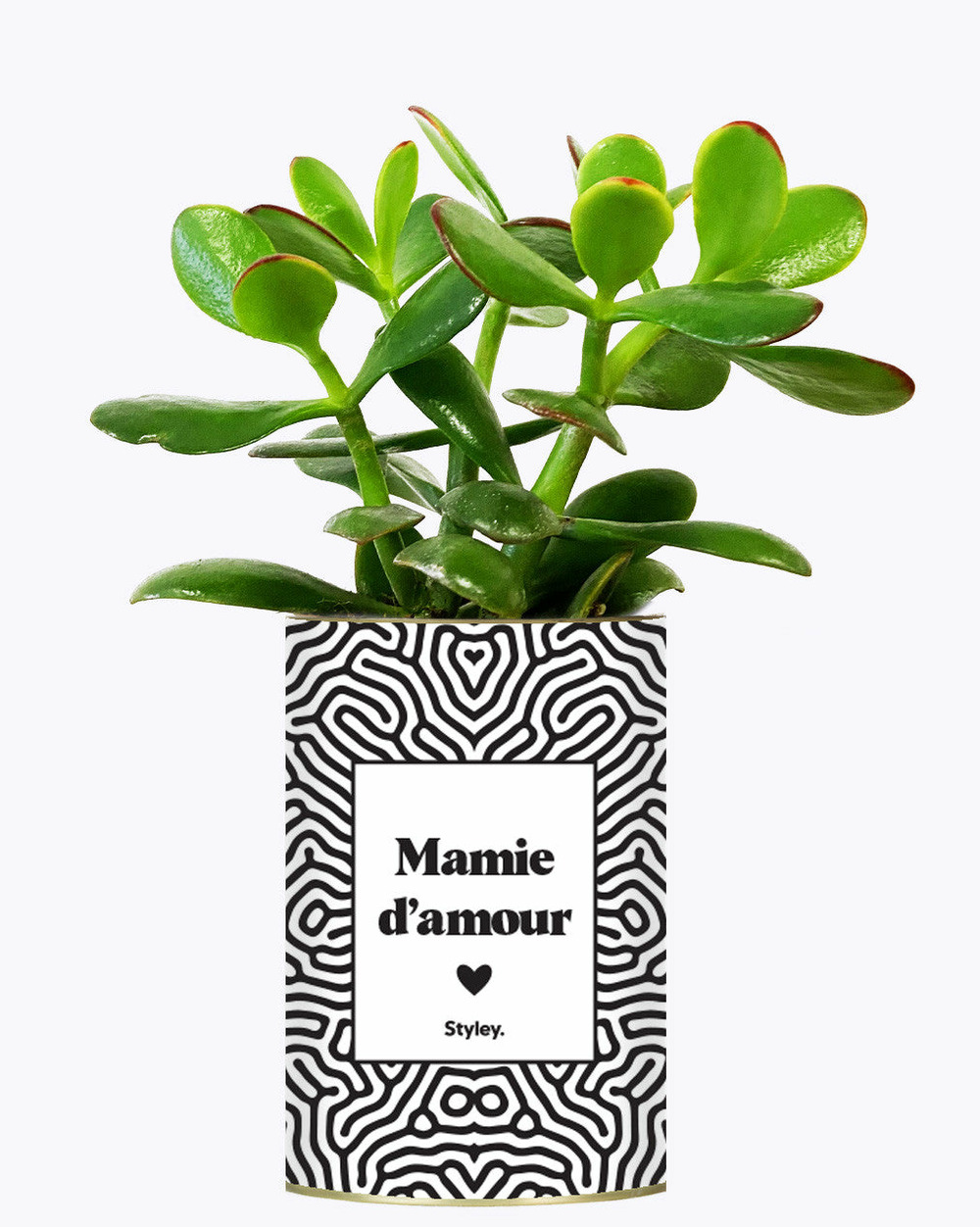 Idée cadeau - mamie d'amour - cactus