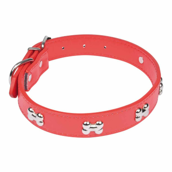 Collier fantaisie pour chien