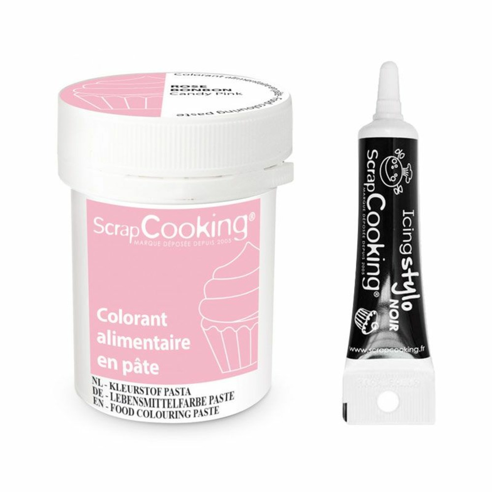 Colorant alimentaire en pâte 20 g rose bonbon + stylo de glaçage noir