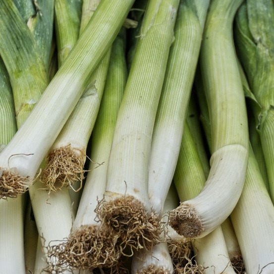 Graines de poireau gros long d'été 2 - vilmorin sachet