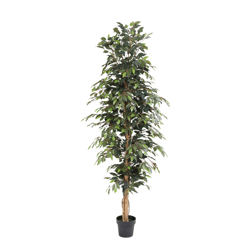 Ficus benjamina - 205cm - ø20cm - plante artificielle