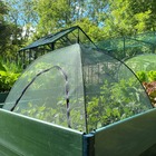 GardenSkill Dôme Parapluie Serre pour Plantes 100x75cm - Grande Cloche Filet Anti-Insecte - Housse de Protection pour Cultures Semis