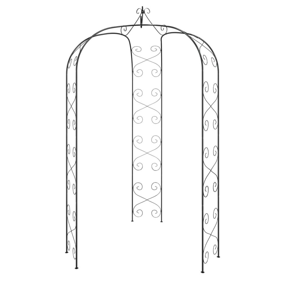 Arche de jardin noir ø180x255 cm acier