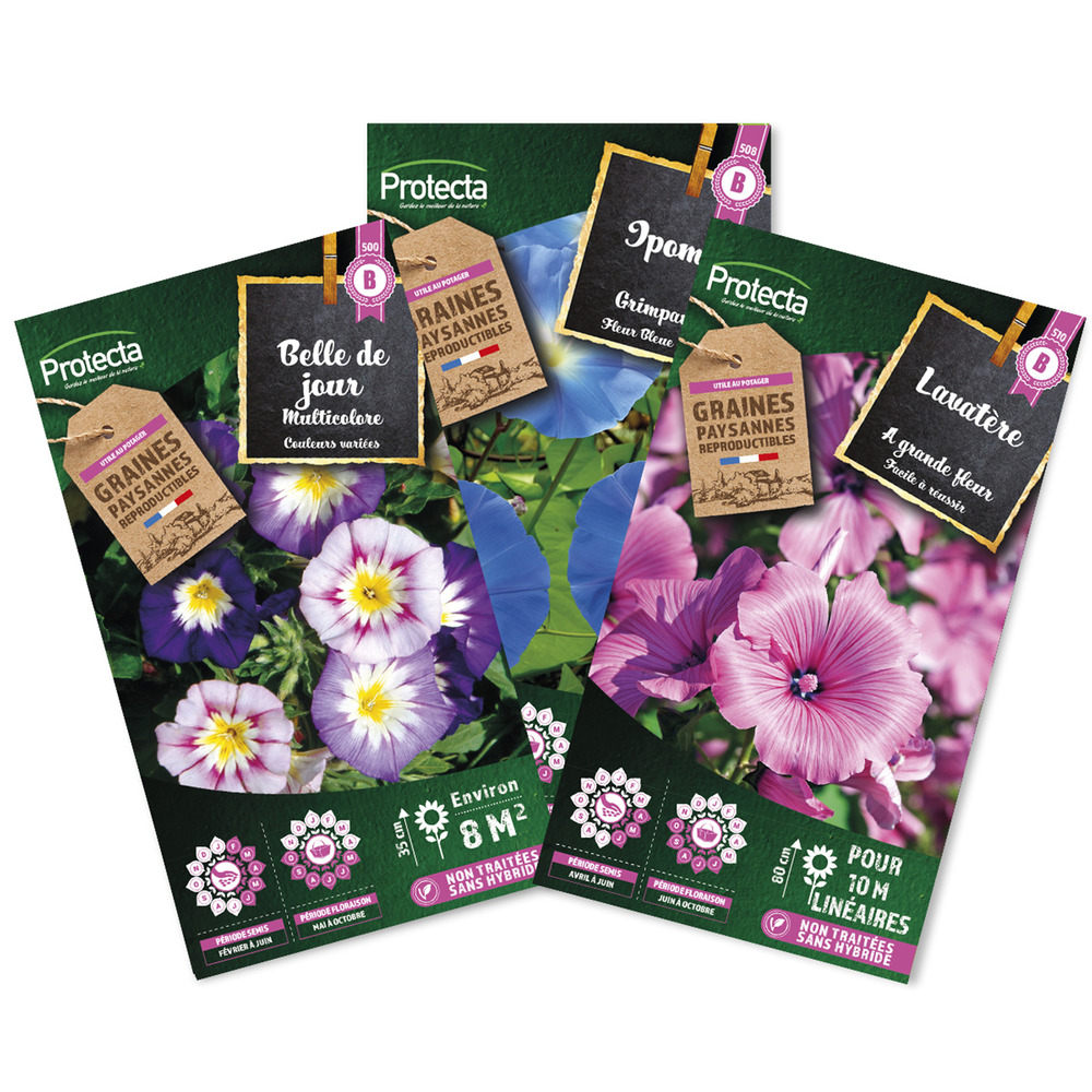 Pack Graines Paysannes - Belle de jour, l'ipomée grimpante, lavatère - 3 sachets