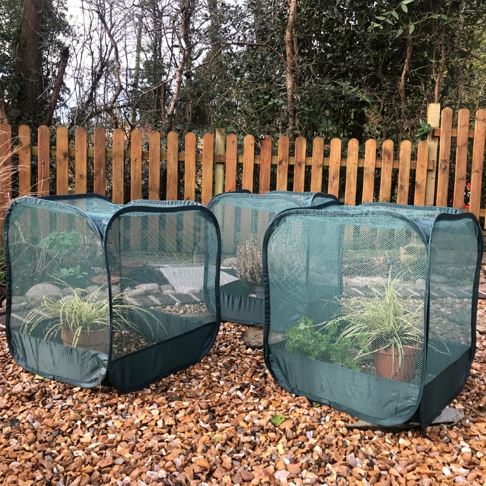 Mini serre jardin anti-oiseaux 50cm - housse potager - protection filet à mailles fines pour semis, plantes, pot de fleur - lot de 3