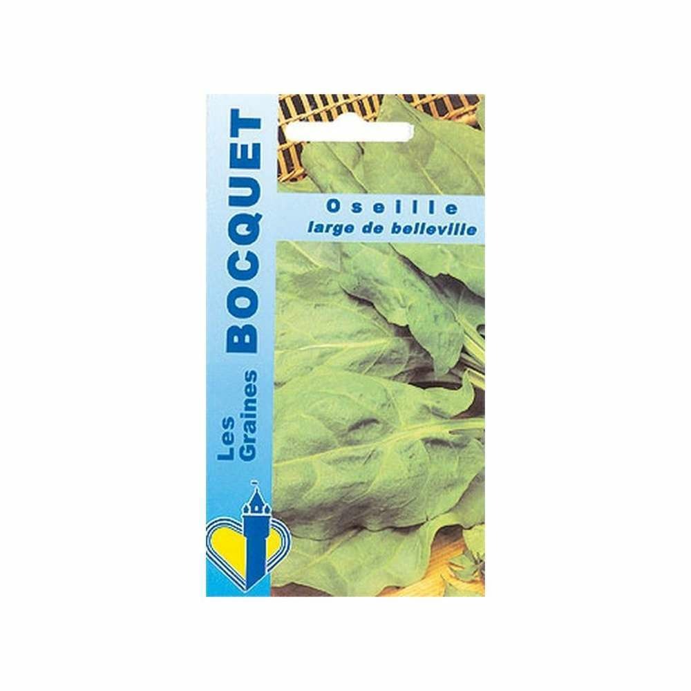 Graines de oseille large de belleville