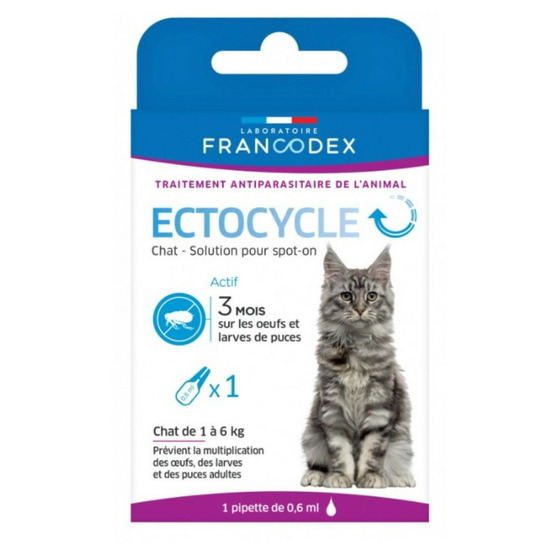 Pipette anti puces ectocycle pour chat