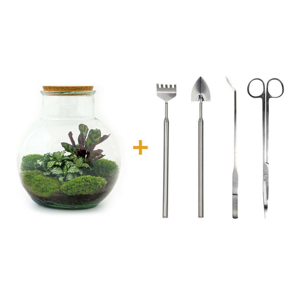 Diy terrarium - h27 cm - ø27 cm