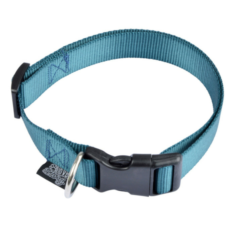 Collier réglable chien 