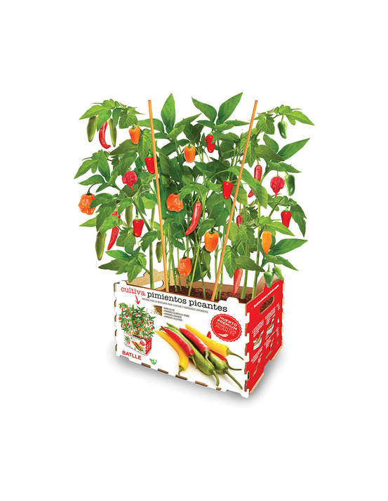 Coffret batlle piments épicés