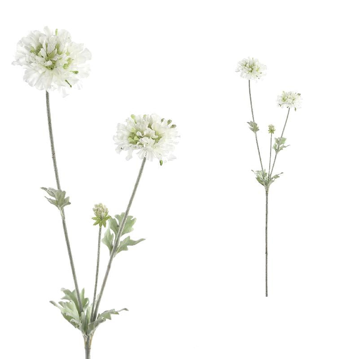 Ptmd garden fleur scabiosa feuille artificielle - 35 x 15 x 68 cm - blanc