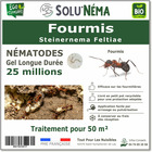 Solunéma - Fourmis - Nématodes Steinernema Feltiae (SF) - 25 millions pour 50m²