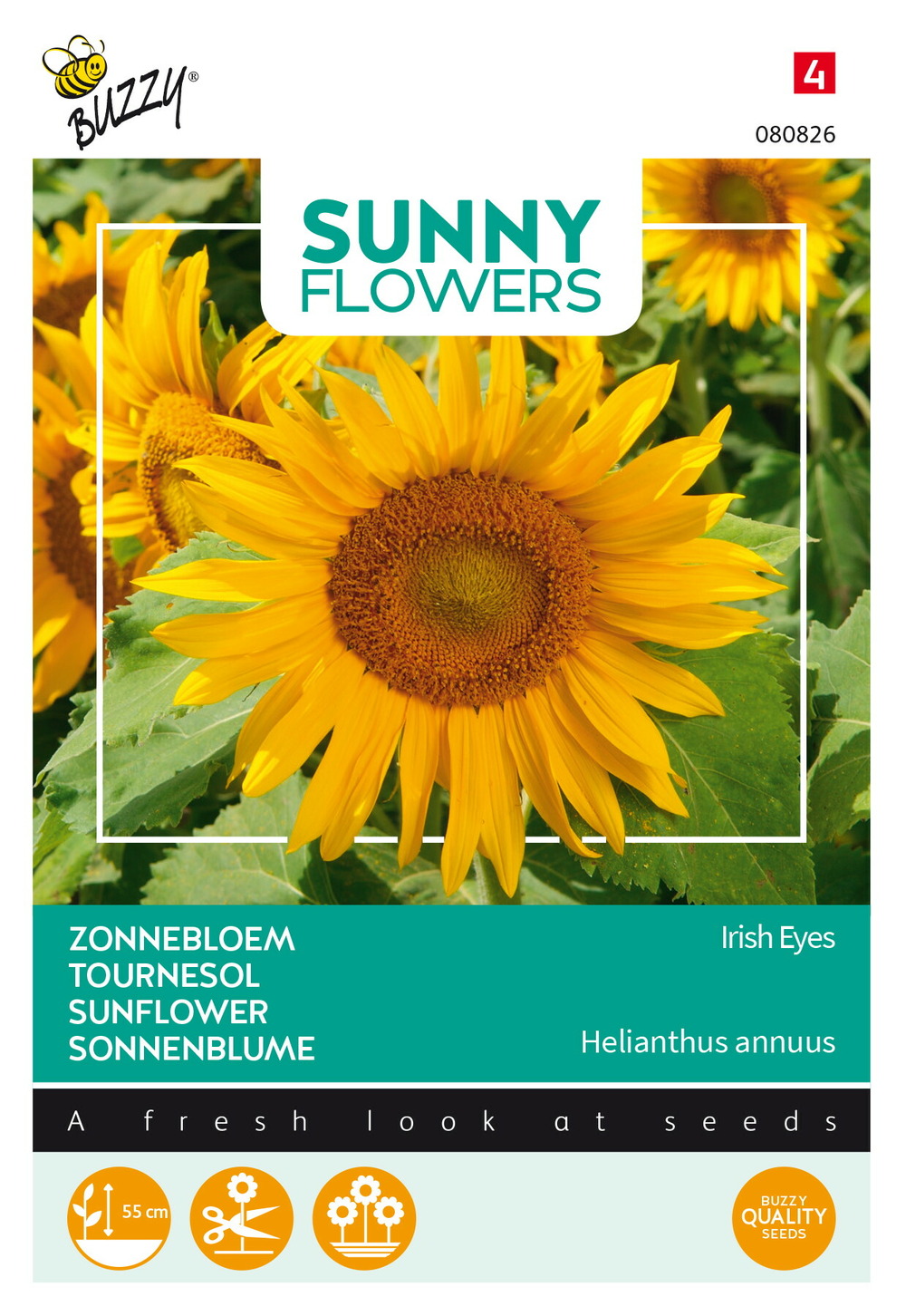 Buzzy sunny flowers, tournesol irish eyes - ca. 1 gr (livraison gratuite)