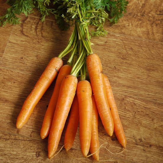 Graines de carotte 3 saisons de carottes - vilmorin présemée