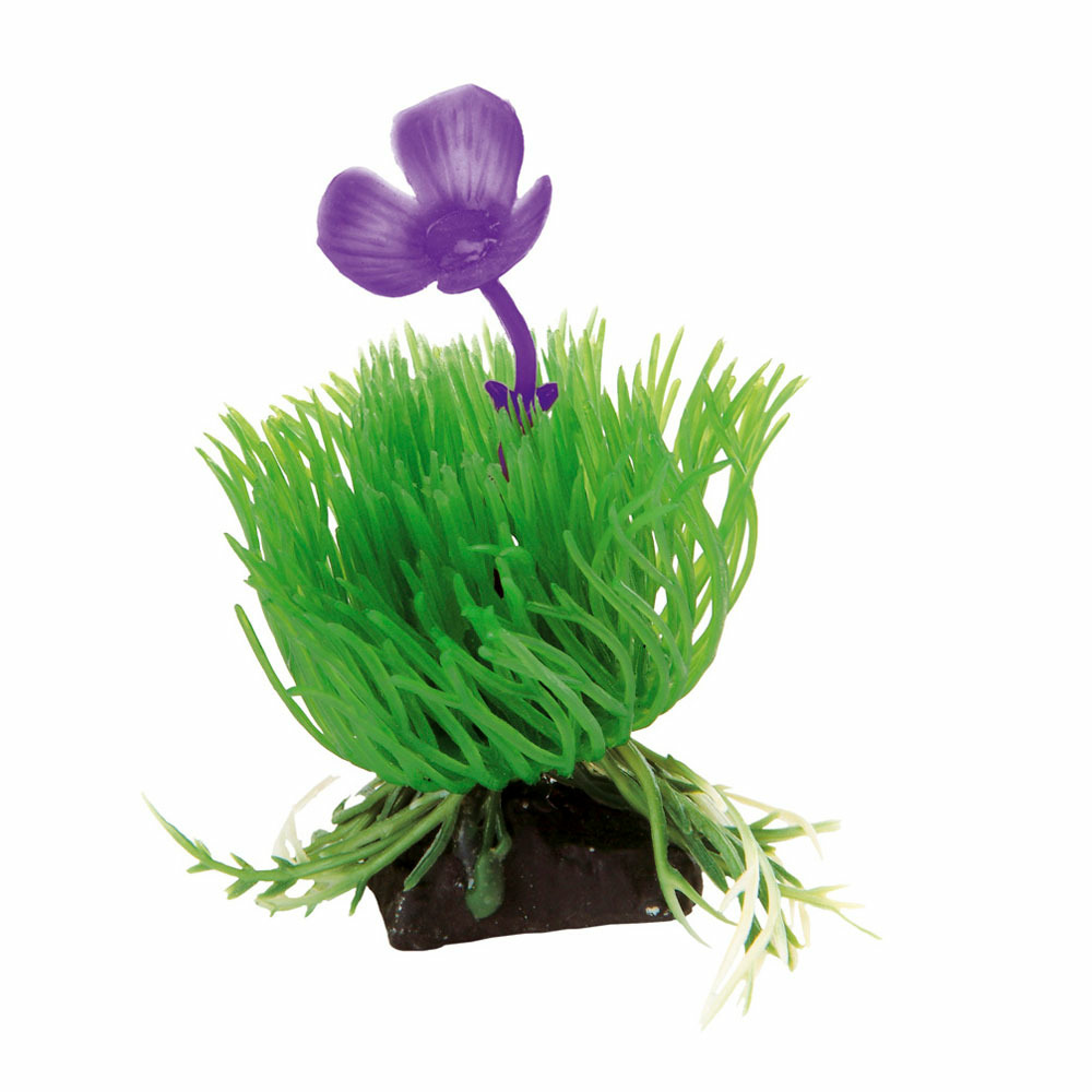 Décoration pour aquariums ferplast blu 9056 - acorus en plastique plante décoration