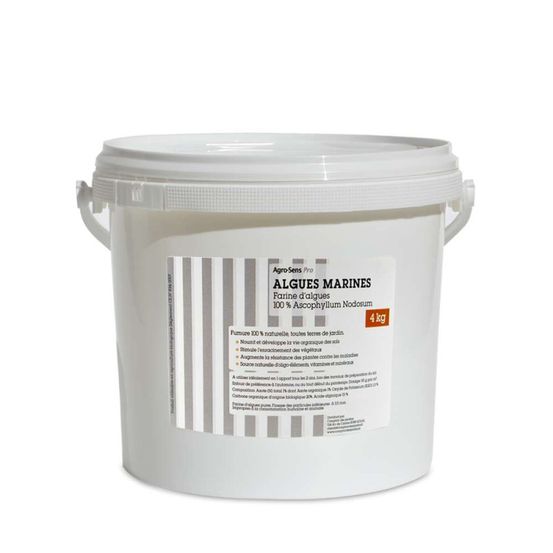 Algues pures en poudre pour le jardin - seau 4 kg